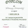 Dyplomy 2012/2013
