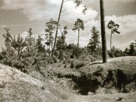 Historia Oleszna w obiektywie