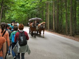 Wycieczka w Góry Świętokrzyskie - rok 2013