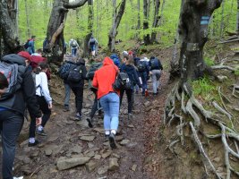 Wycieczka w Bieszczady 2019