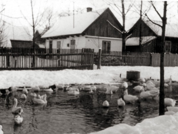 Mały Stok w Olesznie w połowie lat pięćdziesiątych